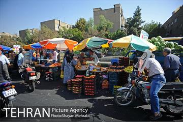 میوه فروشان خیابانی 13