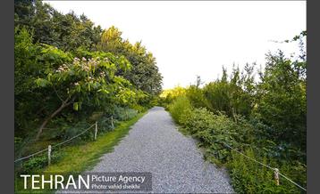 باغ گیاه شناسی ملی ایران  41