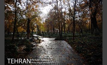 پاییز در پارک شهر 3