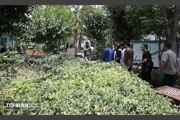 اولین میدانگاه محیط زیستی شهر تهران 6