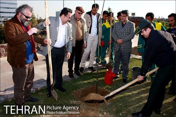 آیین درختکاری در منطقه فرهنگی و گردشگری عباس آباد  15