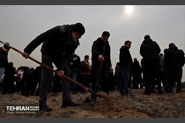 کاشت 2000 نهال مثمر در بوستان جنگلی چیتگر 22