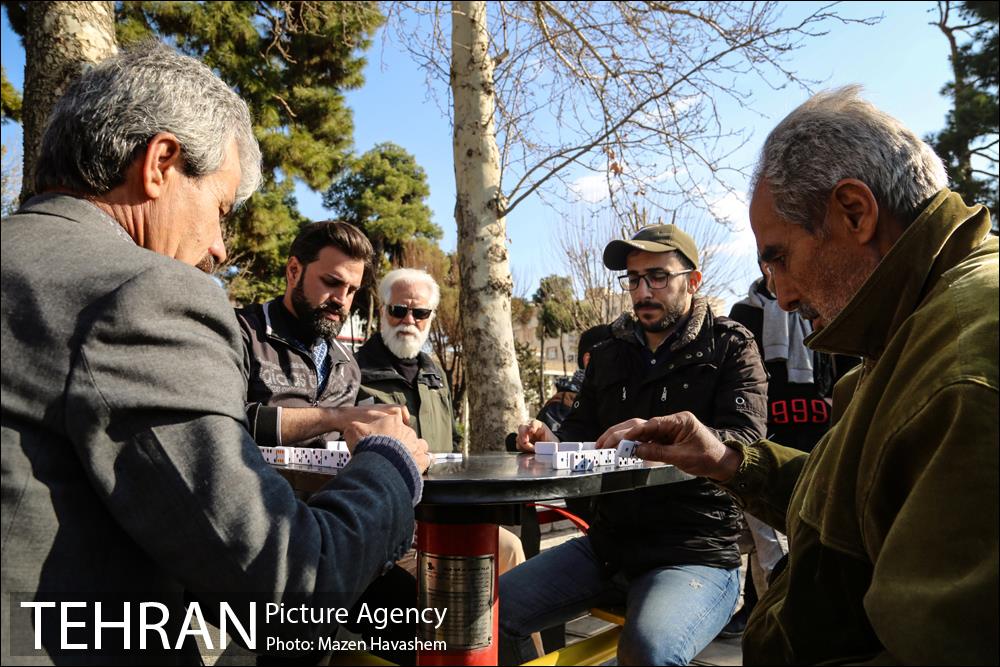 پارک دانشجو 6