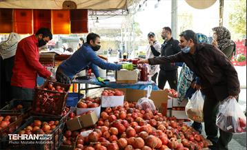 جشنواره انار «صد دانه یاقوت» 6