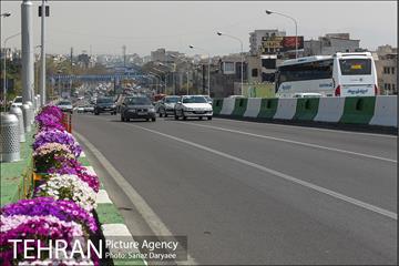 گل آرایی پل سیدخندان 30