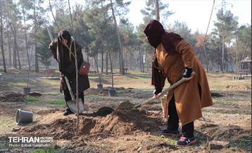 آیین یلدای مهربانی و کاشت نهال در بوستان سرخه حصار 28