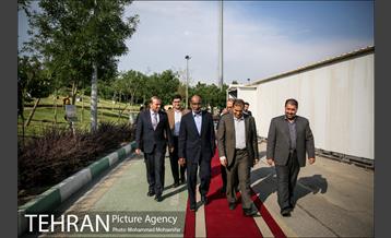 آئین درخت کاری به مناسبت تولد گاندی 10