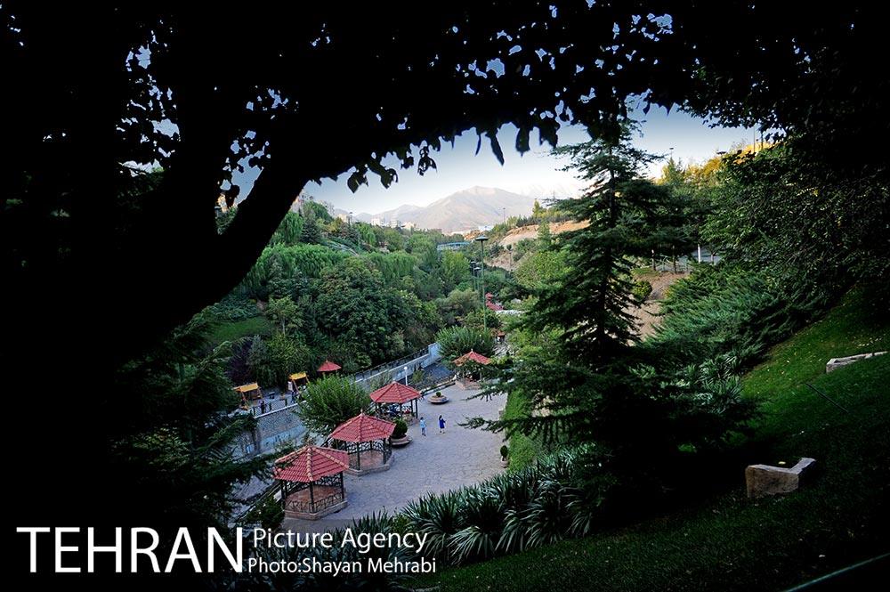 بوستان نهج البلاغه (فاز١) 7