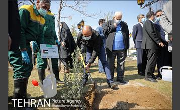 مراسم کاشت درخت صلح و دوستی 25