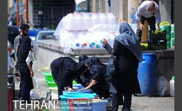 بازار میوه تربار مرکزی 17