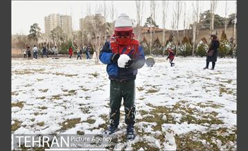 روز برفی در باغ موزه قصر‎ 13