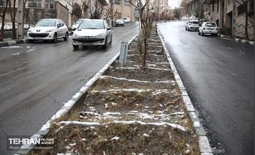 تهران بعد از برف 19