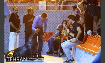 دلفیناریوم برج میلاد 1