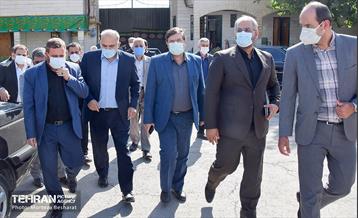 بازدید اعضای شورای شهر از حریم منطقه 20