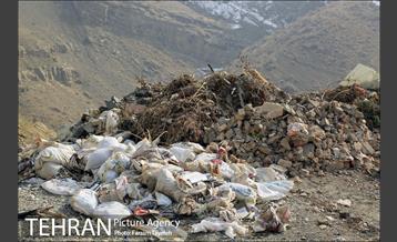 طرح نگهداشت شهر 8