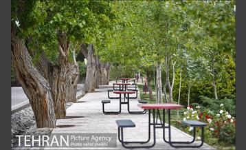 بوستان پلیس 13