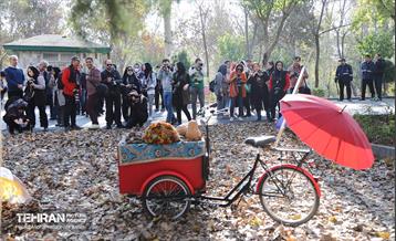 تور عکاسی بوستان بعثت 8