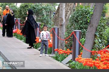 تور عکاسی از باغ ایرانی 33