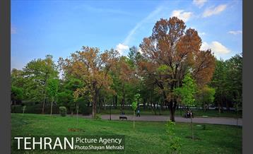 بوستان ملت 26