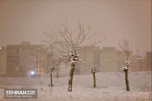 بارش برف زمستانی در معابر شمالی پایتخت - 1 50