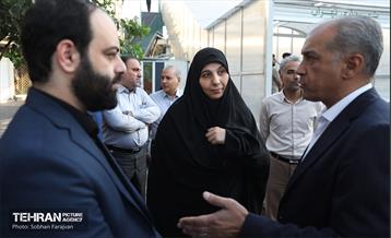 بازدید مدیرکل حوزه شهردار تهران از پروژه پل‌های مکانیزه عابرپیاده 31