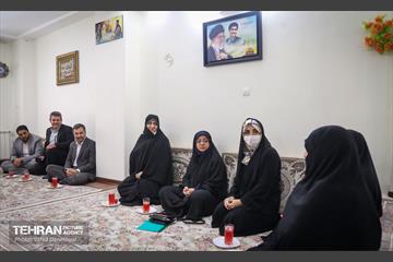 بازدید نرگس معدنی پور از منطقه 17