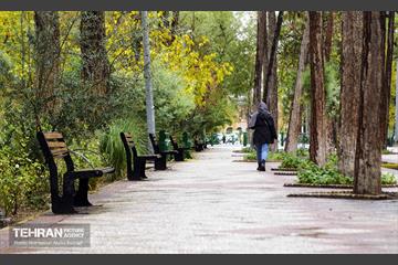 یک روز پاییزی در منطقه ۱۴