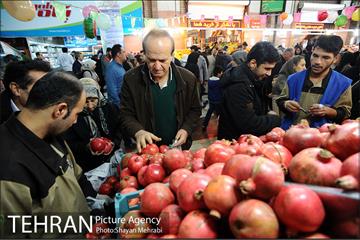 بازدید شهردار تهران از بازار میوه و تره بار جلال آل احمد 14