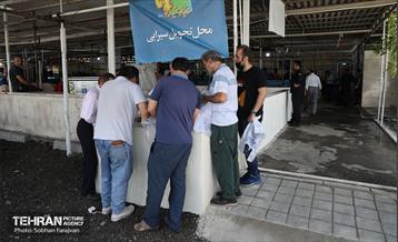 مرکز عرضه دام بهداشتی به مناسبت عید قربان 26