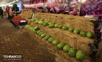 جشنواره انار در بوستان آب و آتش  23