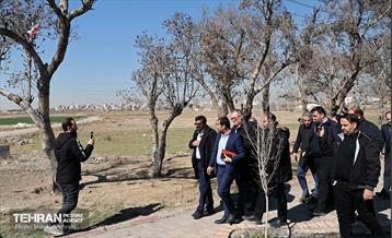 قرارگاه اجتماعی شهرداری منطقه 19 31