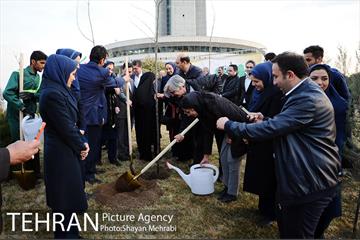کاشت شش نهال درخت زیتون با حضور کارگرداران سینمای ایران 18