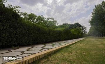 طبیعت بهاری در باغ گیاهشناسی ملی ایران 24