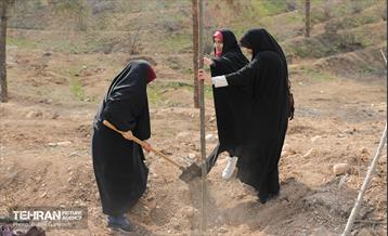 غرس ۲۷۸۲ نهال در سرخه‌حصار به یاد درگذشتگان جامعه پزشکی 6