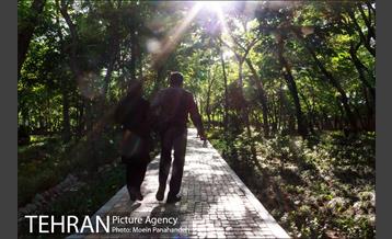 هوای بهاری تهران 16