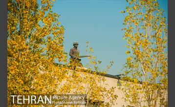 پاییز باغ موزه قصر 25