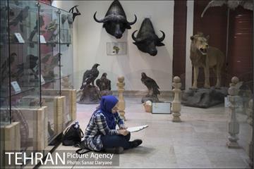 موزه طبیعت و حیات وحش ایران دارآباد‎ 6