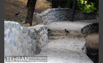 بوستان جمشیدیه 17