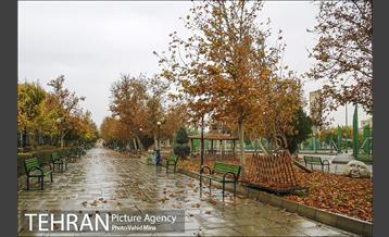پاییز در بوستان رازی 3