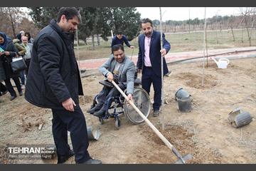 کاشت نهال یادمان تشکل ها در بوستان سمن ها 14