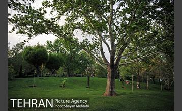 بوستان ملت 28