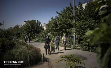 آئین گل مالی هیات لرستانی های مقیم تهران 41