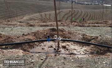 بهره‌برداری از فاز دوم طرح جنگلکاری کمربند سبز 17