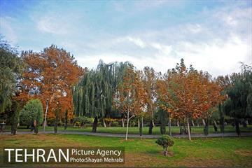 طبیعت پاییزی بوستان لاله 13