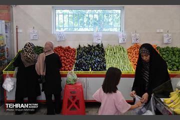 بازار میوه و تره‌بار مرواردید 18