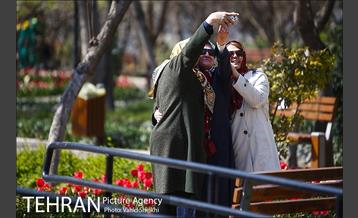 رویش گل های لاله در باغ ایرانی 17