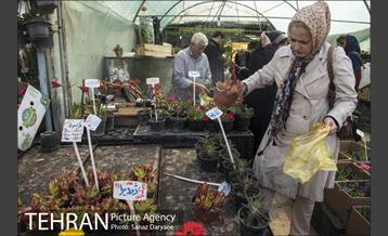 بازار گل شهید محلاتی 7