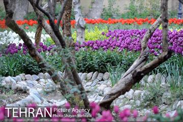 باغ ایراتی (بوستان مهندس مختاری) 8