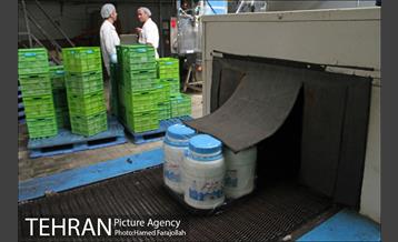 خط تولید شرکت صنایع شیر ایران 9