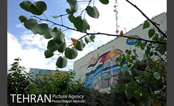 رونمایی از دیوار نگاره قدس در بزرگراه مدرس 3